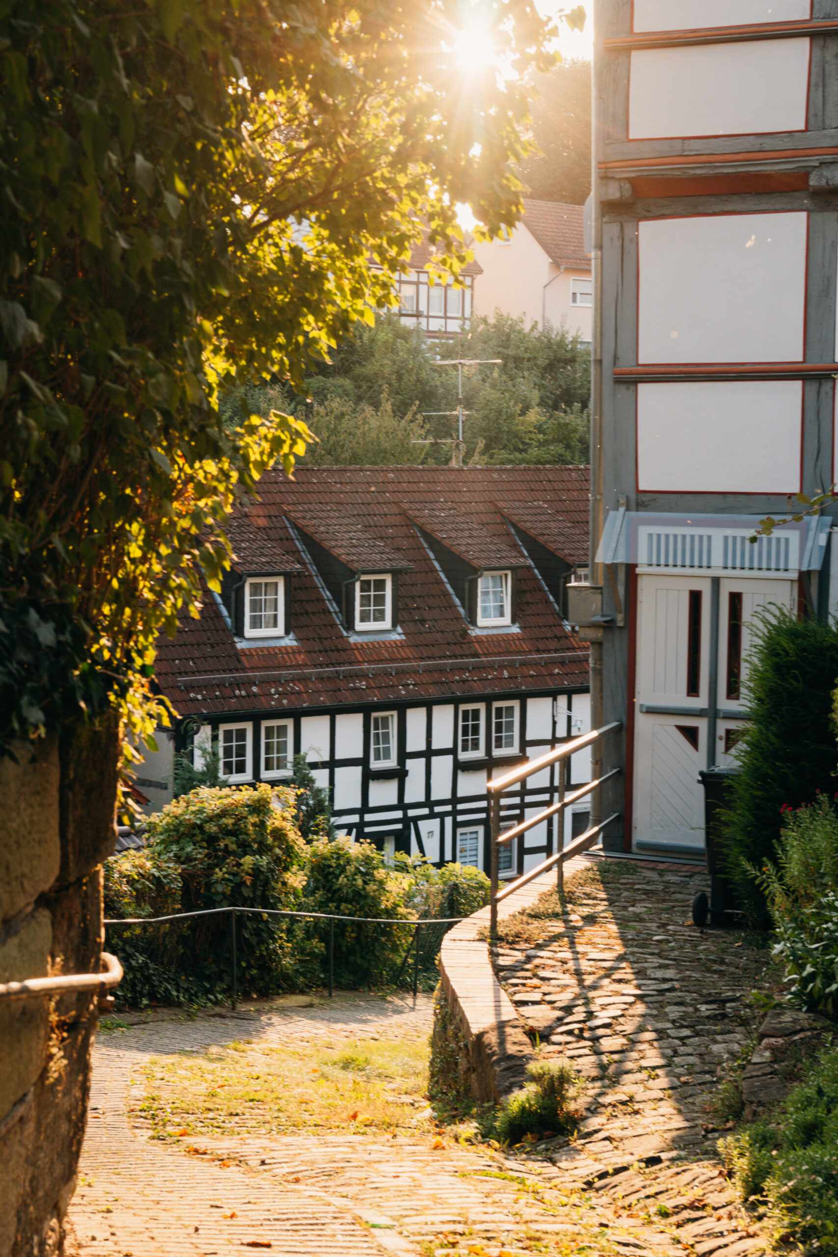 Warburg