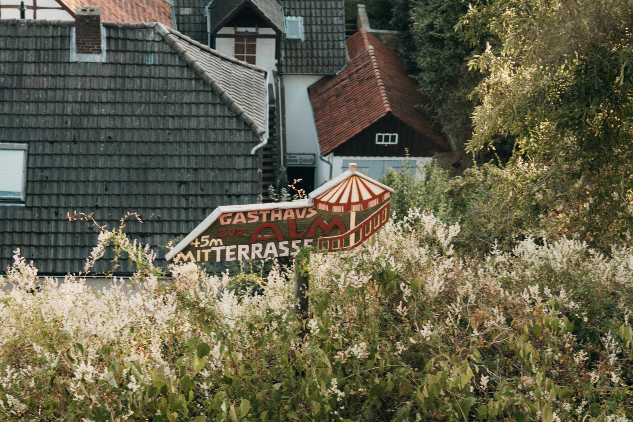 Warburg