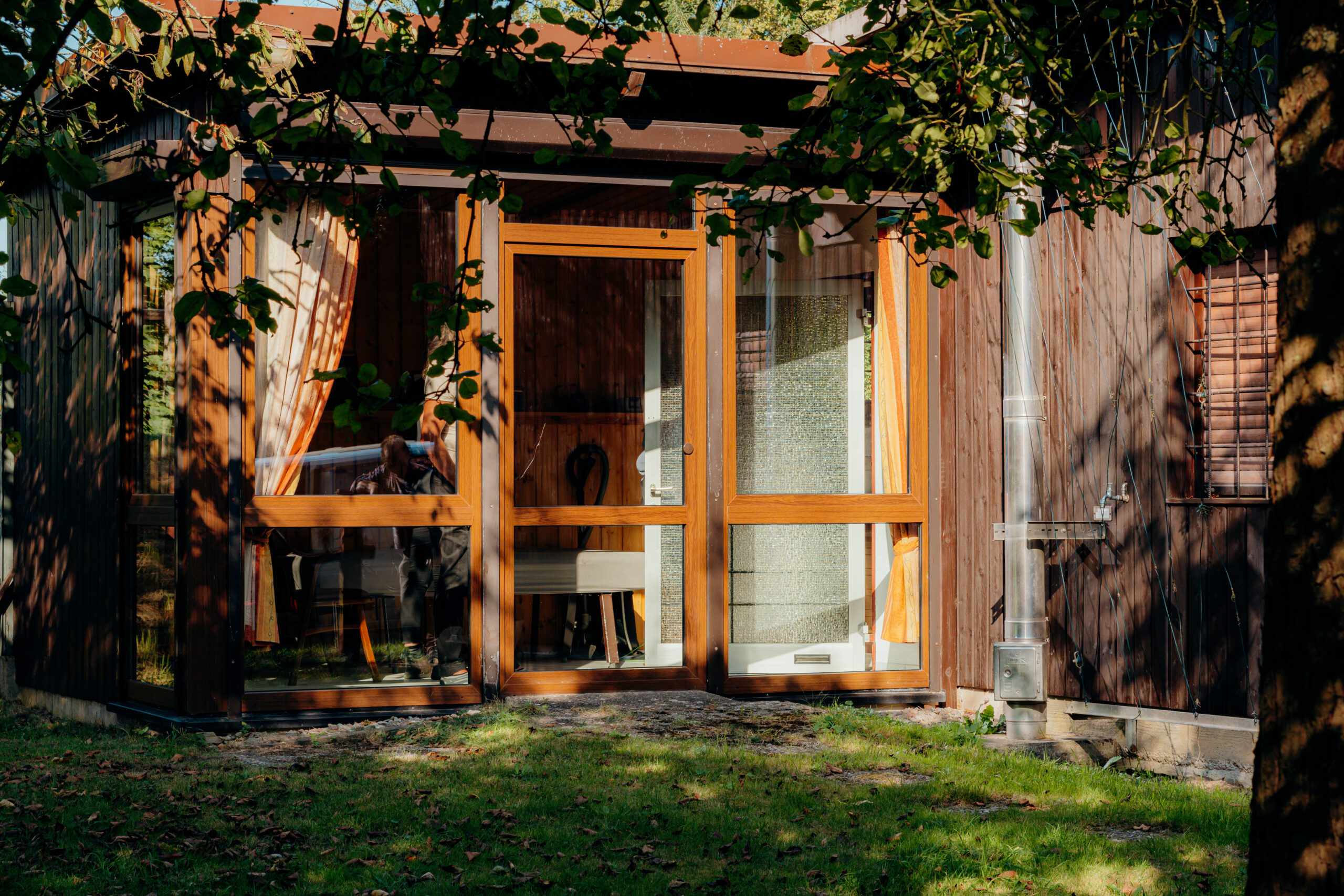 Tiergestützte Therapie