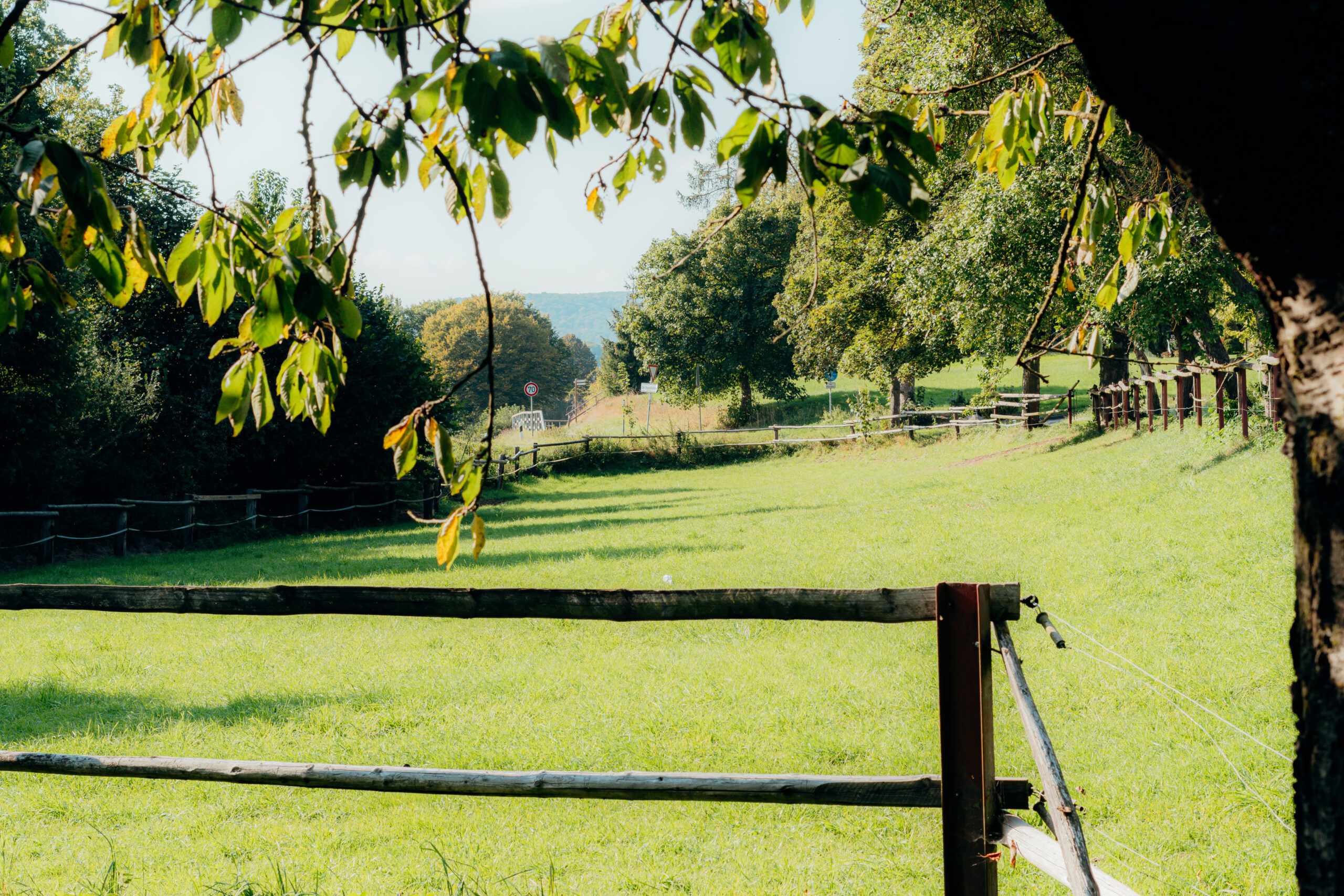 Tiergestützte Therapie