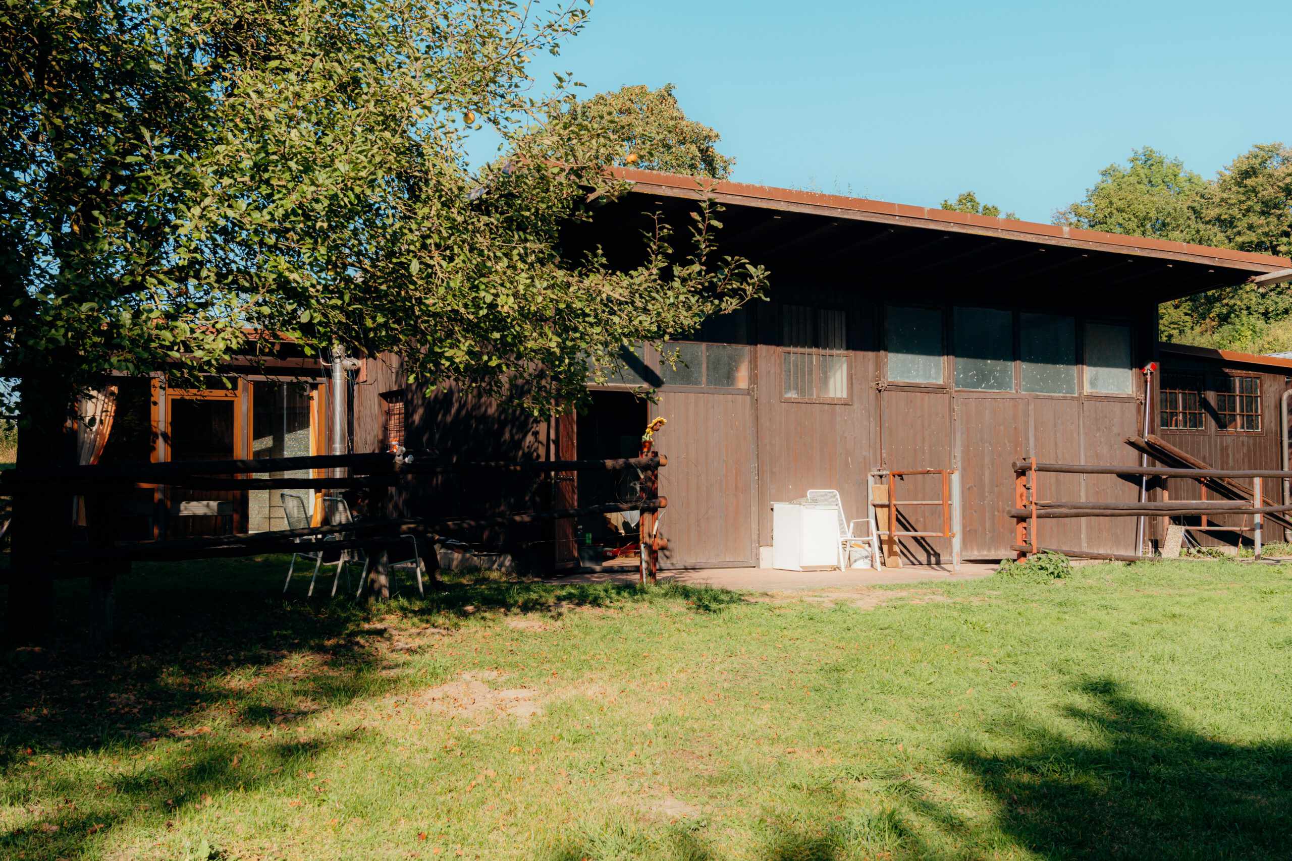 Tiergestützte Therapie