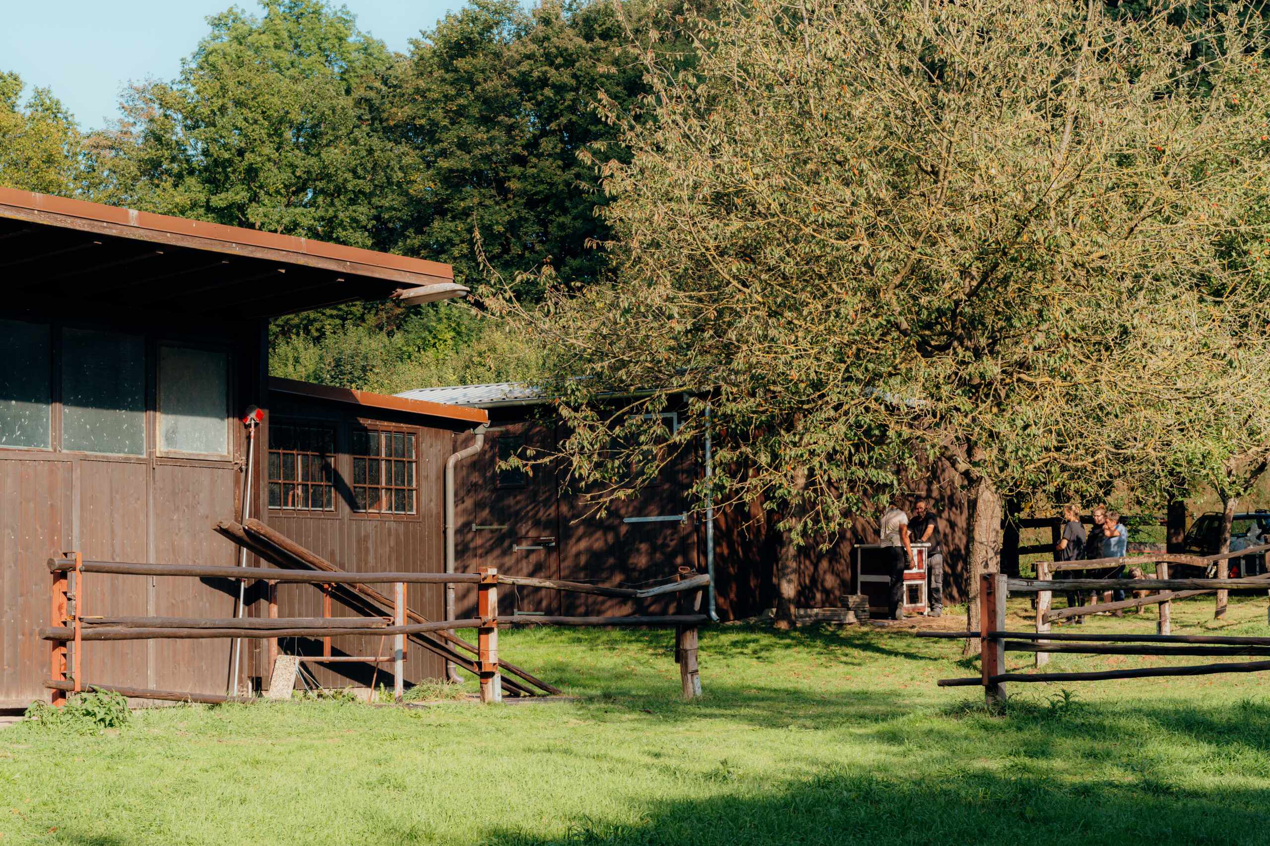 Tiergestützte Therapie